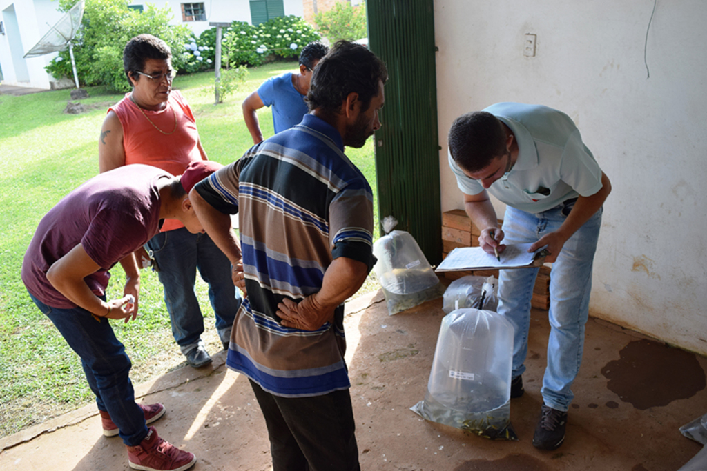 Município realiza entrega de alevinos
