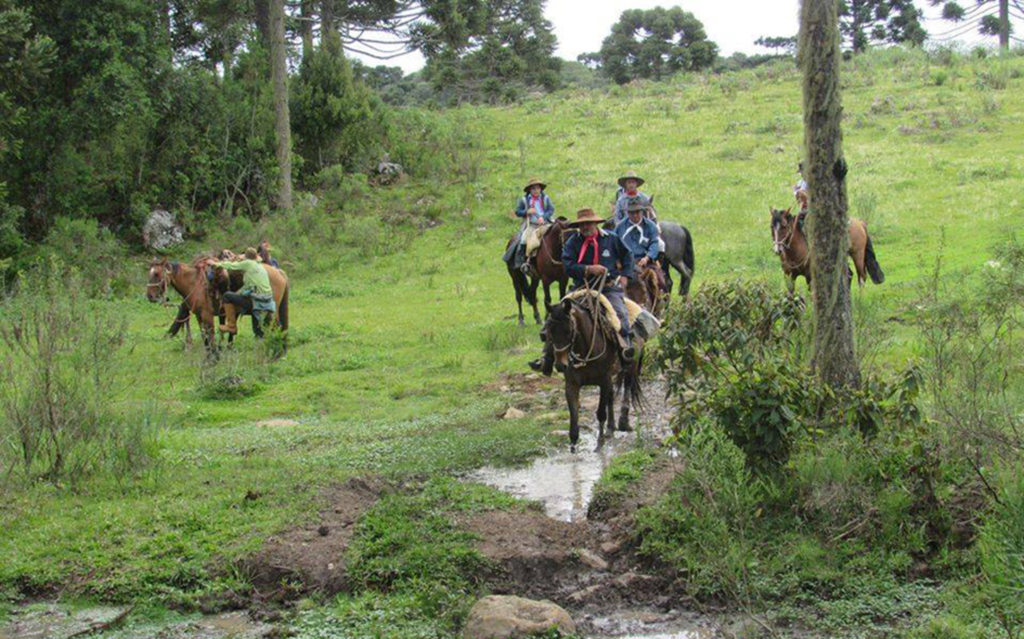 Grupo de Cavaleiros de Pinhal da Serra realizou mais uma cavalgada