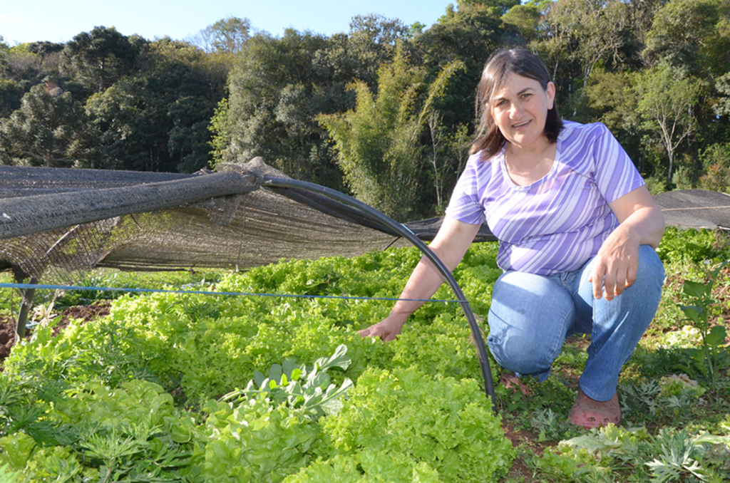 A mulher do campo sendo modelo de empreendedorismo em Anita