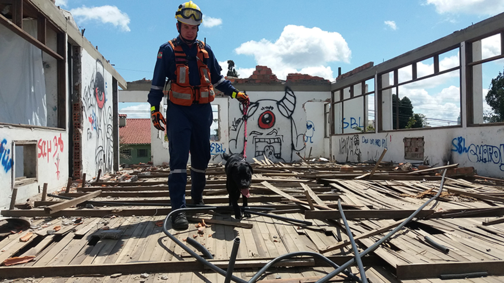 Corpo de Bombeiros de Lages prepara cachorro para localizar vítimas desaparecidas