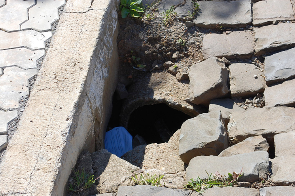  - Rua Benjamim Suppi