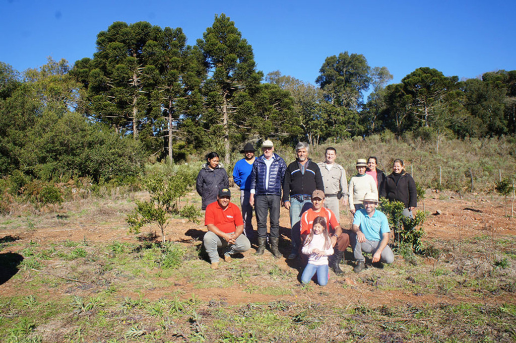 Pinhal da Serra incentiva a produção de citrus