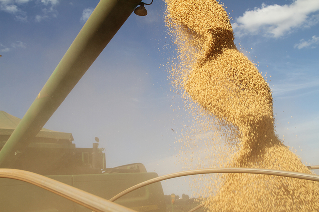 Safra 2015/2016: Colheita de soja supera expectativa de produção