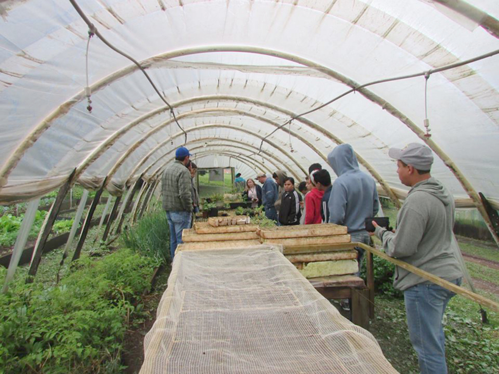 Alunos do projeto Jovem Agricultor de Abdon visitam a Cetrecampos