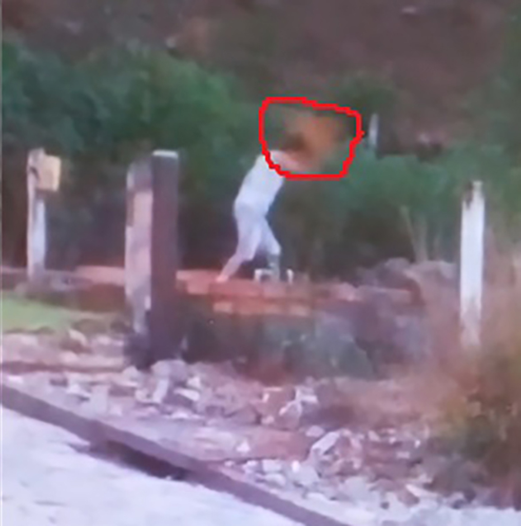 Homem é detido por maus tratos a animais em Anita