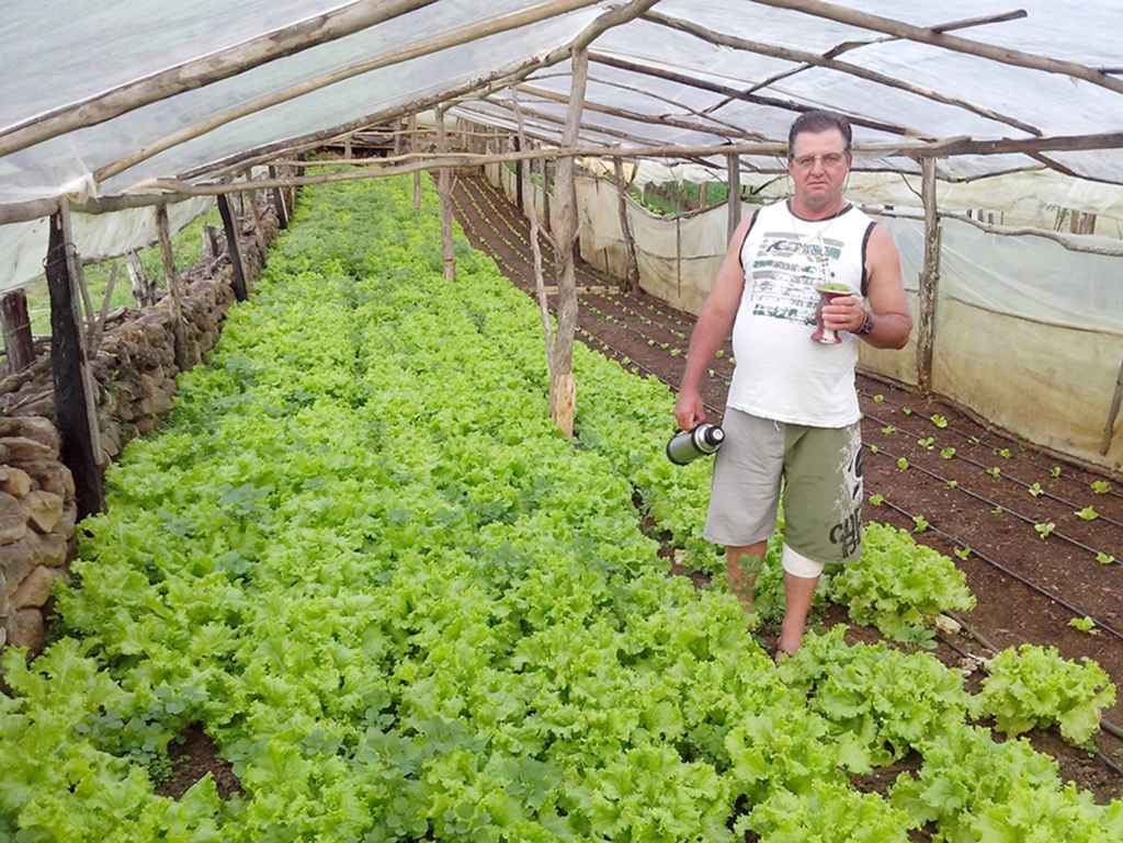 Produtor rural Valdevino Salmória promovendo alimentação saudável com produtos orgânicos em Anita