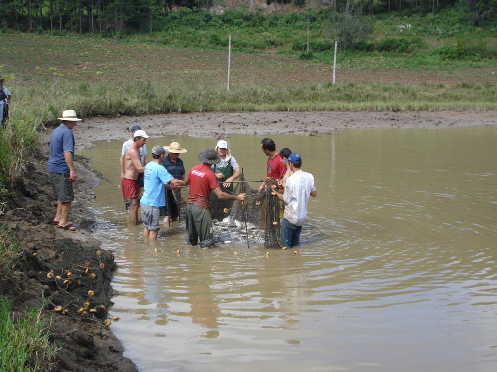 Dia de Campo reuniu piscicultores em Abdon Batista