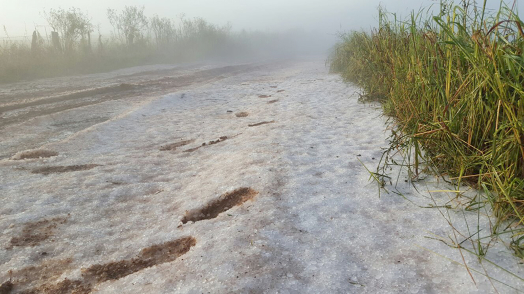 Chuva de granizo danificou plantações em Campo Belo