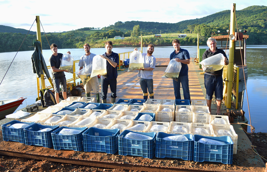ENERCAN realiza soltura de peixes para repovoamento do reservatório