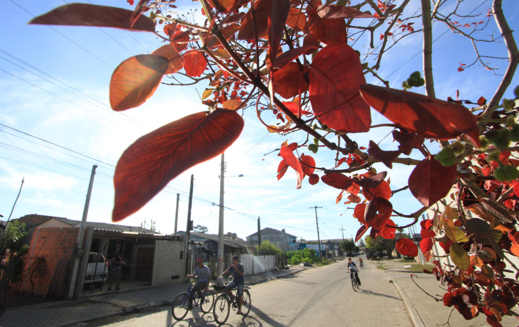 Jô Folha - 