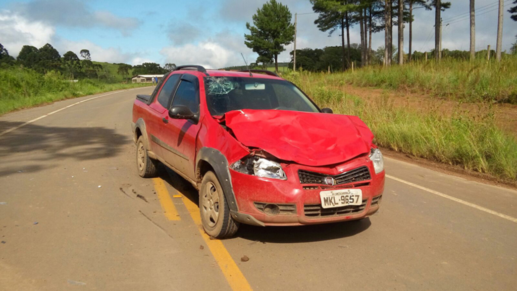 Animal na pista causa acidente com danos materiais em Anita Garibaldi