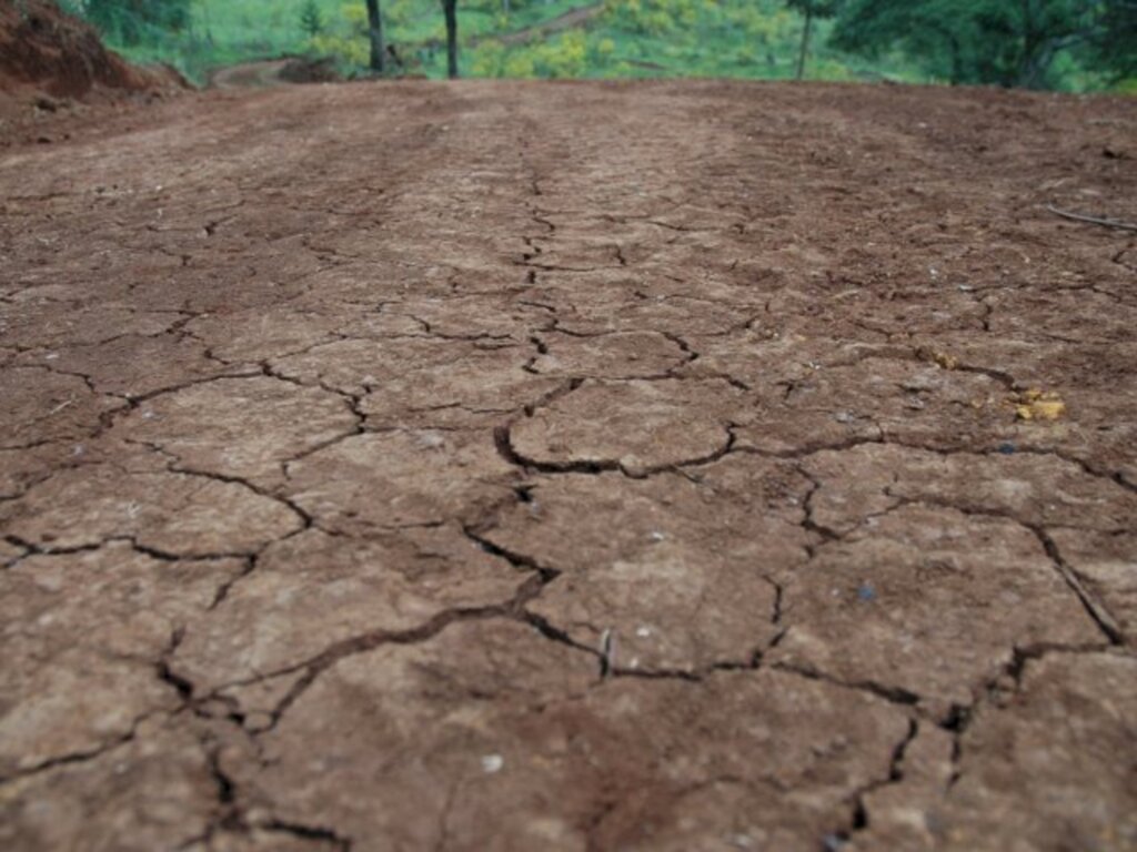 Nilson Teixeira/Epagri - Falta de chuva prejudica produtores catarinenses, especialmente no oeste