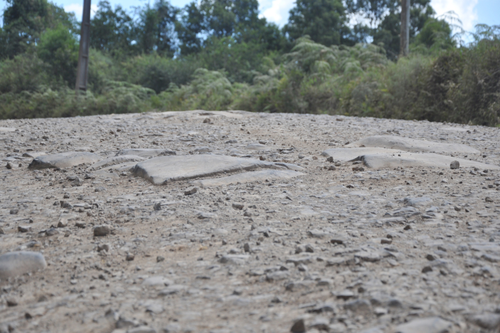 ADR Lages realiza manutenção nas estradas estaduais anitenses