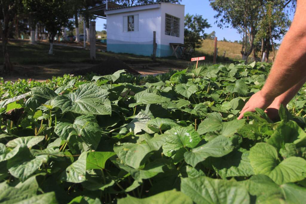 Governo anuncia edital para sete mil leitos em comunidades terapêuticas