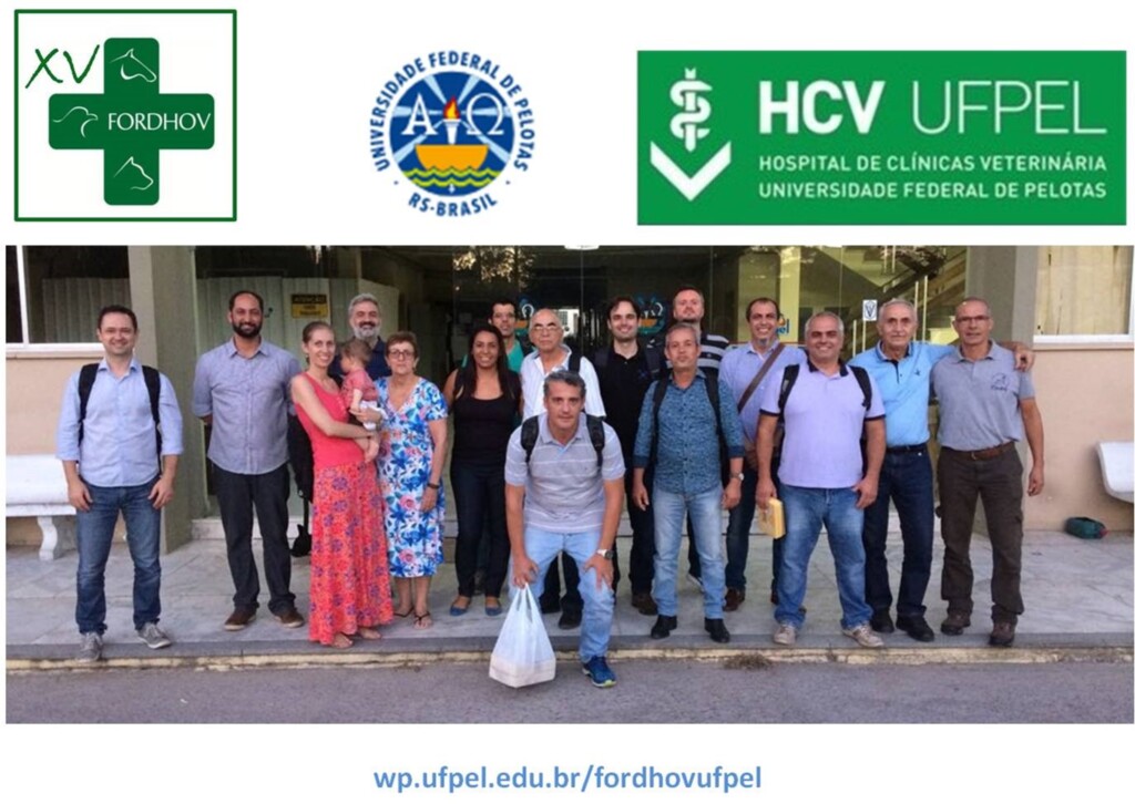 Divulgação - 