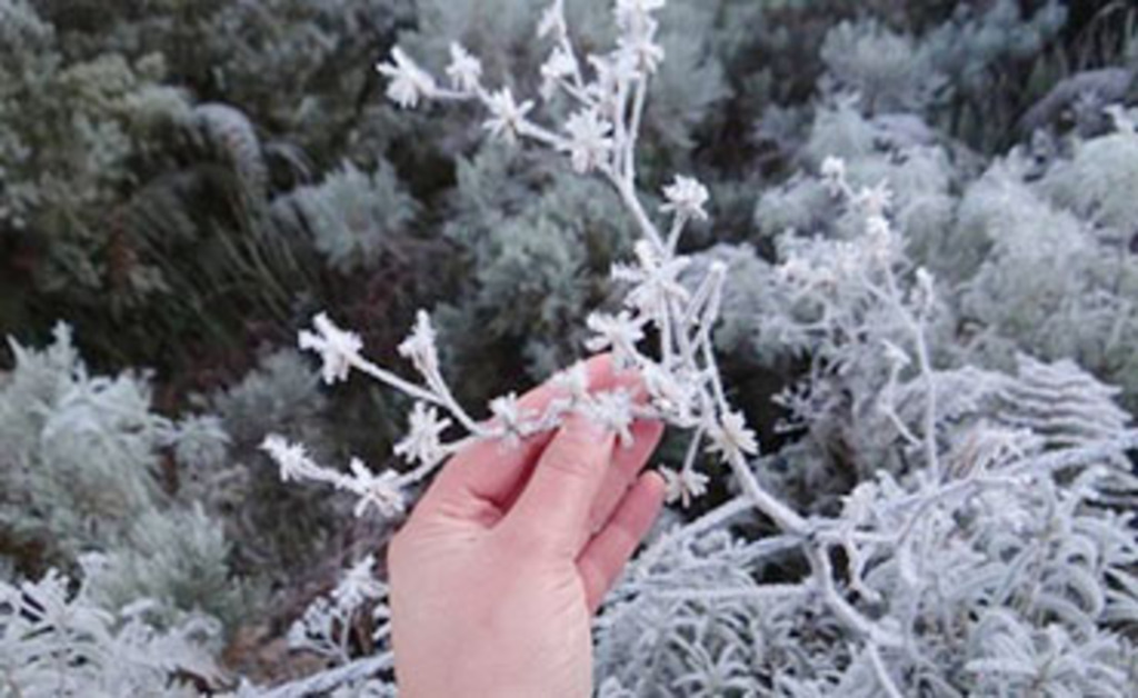 MASSA DE AR FRIO CHEGA A SC E SERRA REGISTRA TEMPERATURAS NEGATIVAS NESTA QUARTA