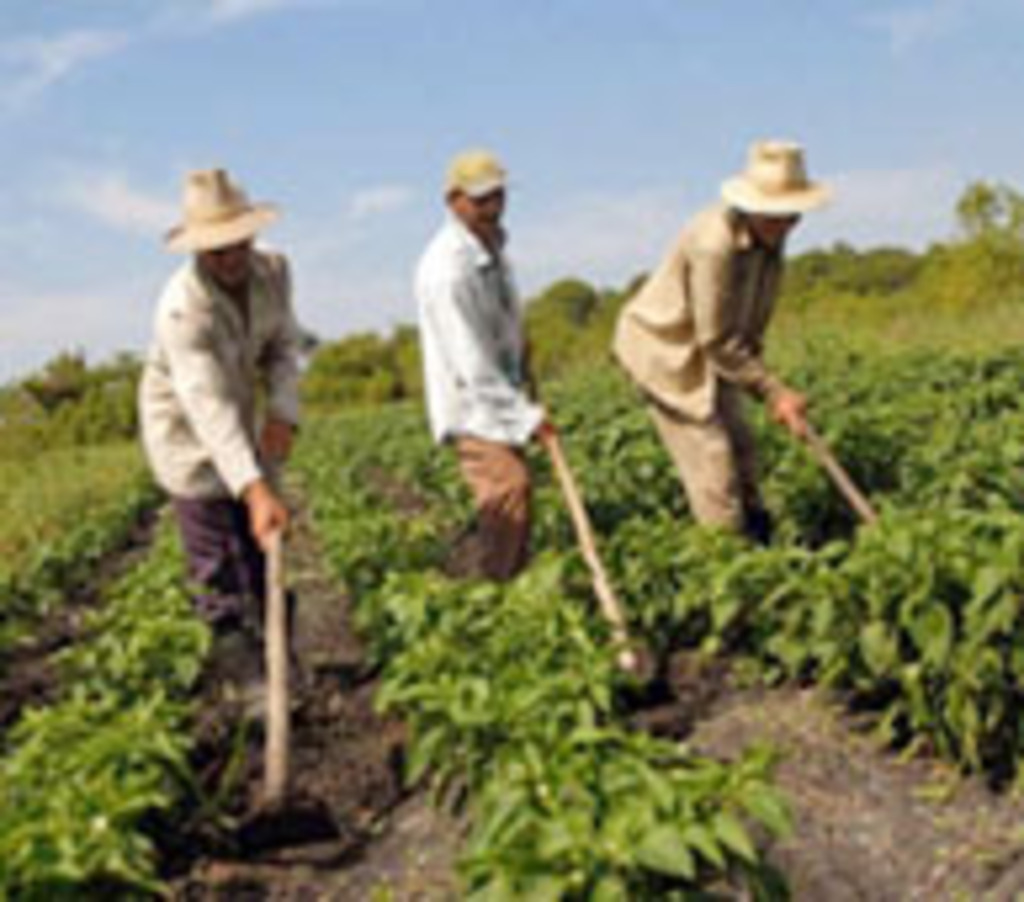 RECURSOS PARA PEQUENO AGRICULTOR CRESCEM 20%