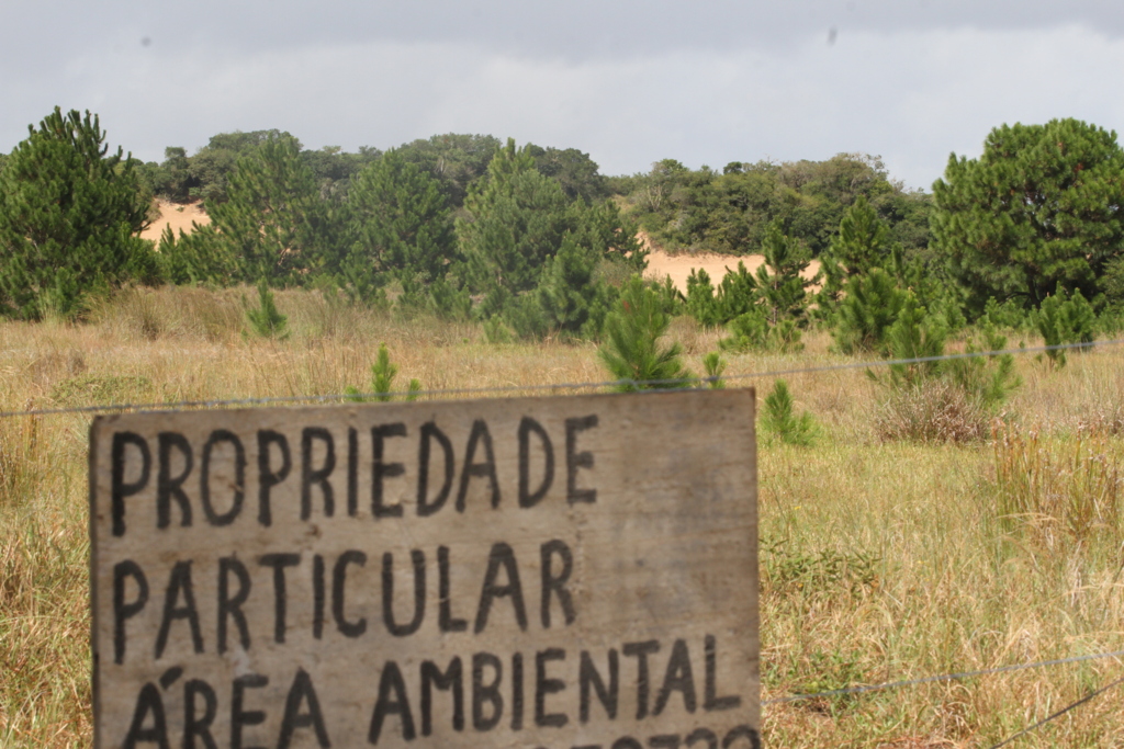 Em defesa de uma nova Unidade de Conservação em Pelotas