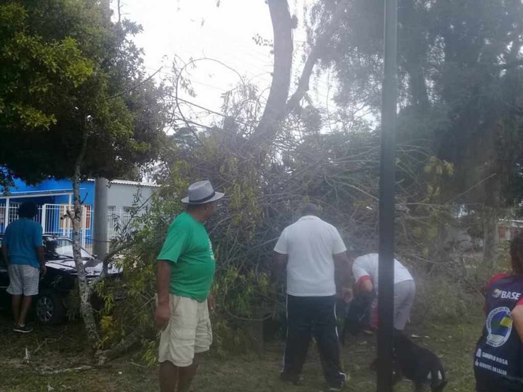 Queda de árvore assusta moradores do Barro Duro