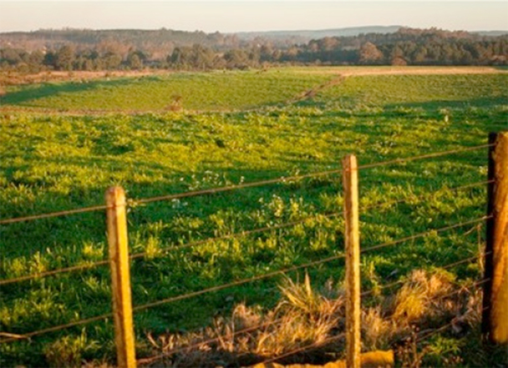 Prorrogado em um ano o prazo do Cadastro Ambiental Rural