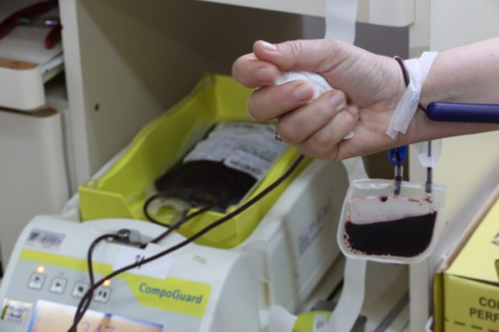 Hemosc reforça pedido de doação de sangue na alta temporada de Verão