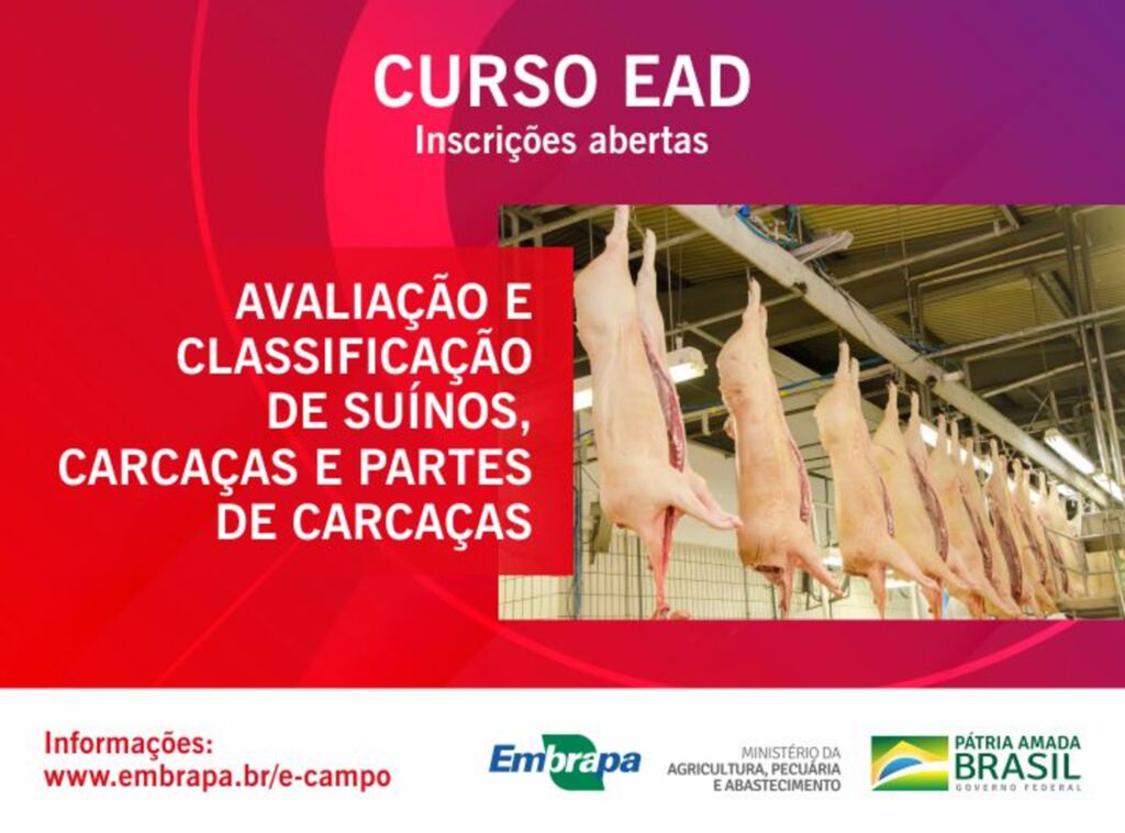 EAD sobre Avaliação de Carcaças está com inscrições abertas