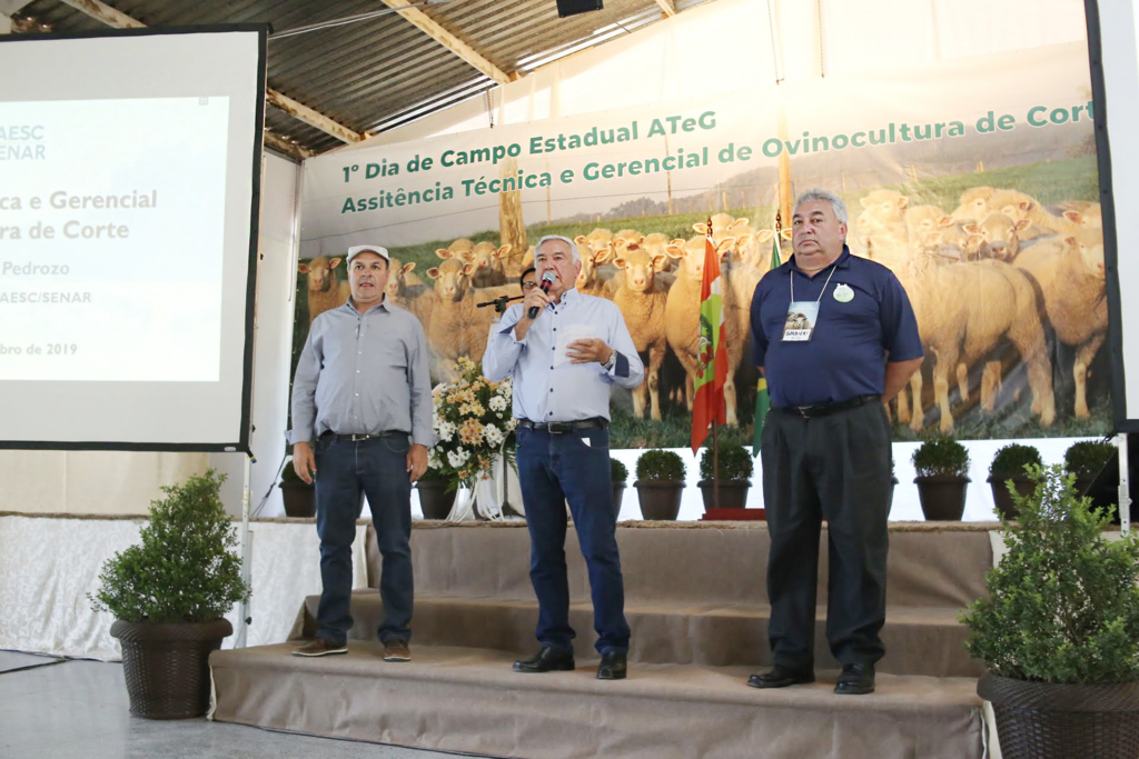 Ovinocultura cresce no Planalto Norte Catarinense