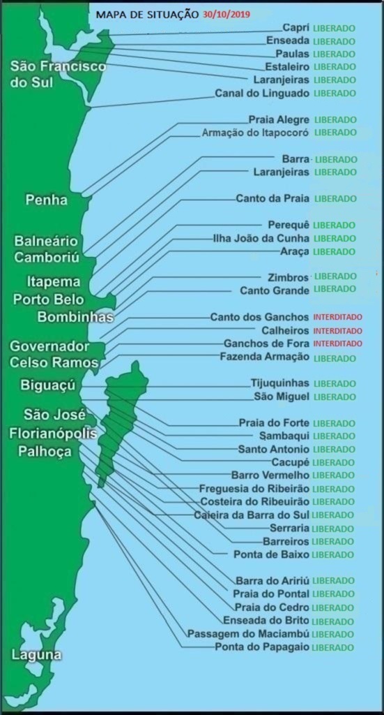 Cultivos de moluscos de Zimbros e Canto Grande estão liberados para comercialização