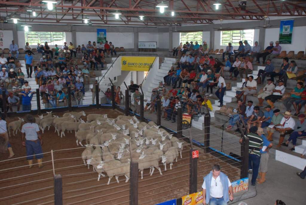 Feovelha 2018 fatura R$ 767 mil