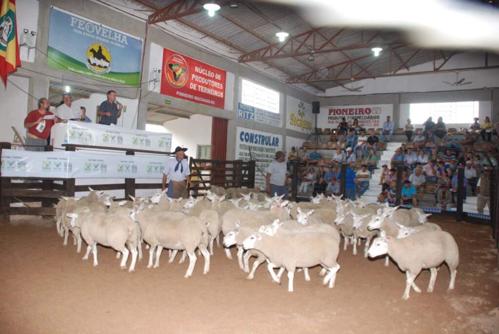 Feovelha promete reunir 3,5 mil animais