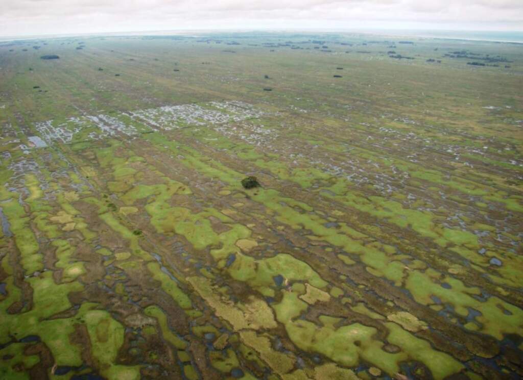 Banhado pode ter nova categoria em Rio Grande