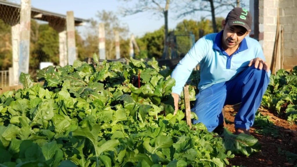 HORTA CULTIVADA HÁ 30 ANOS EM ESCOLA NO INTERIOR DE PIRATUBA