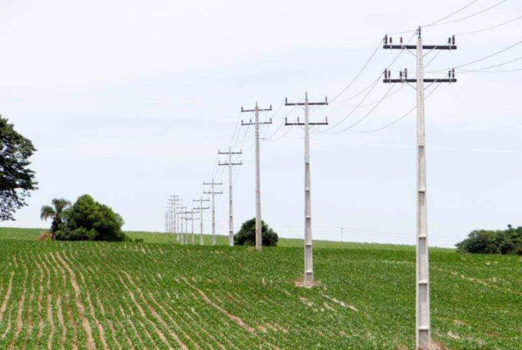  - Produtoresdevemefetuarrecadastramento para garantir benefício da tarifa rural (Foto -Reprodução daInternet)