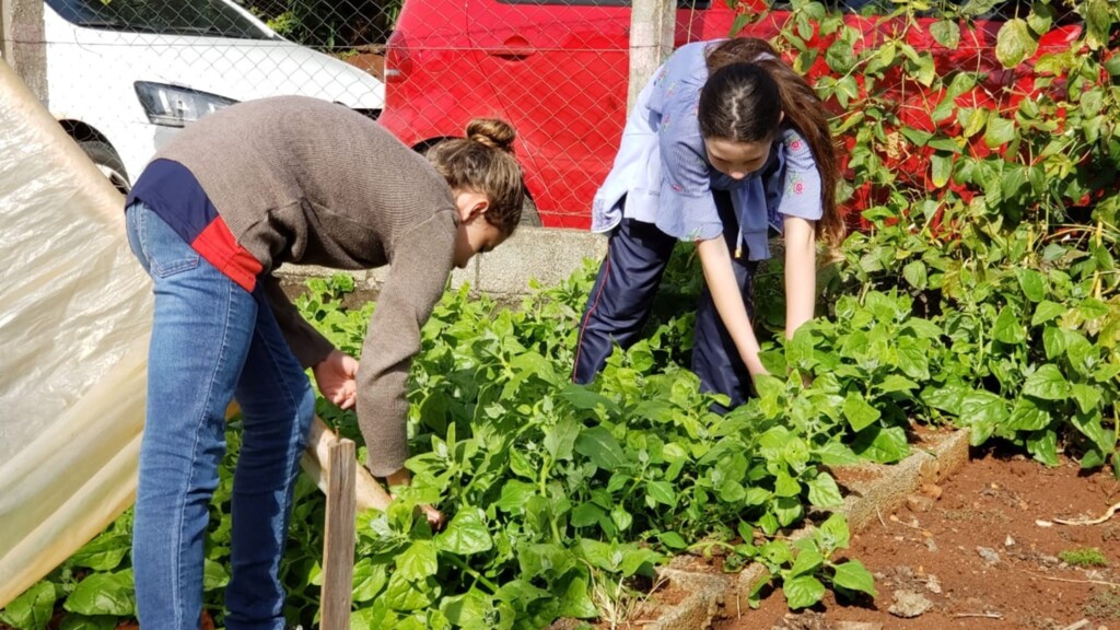  - Alunos da Escola Marechal Câmara, no distrito de Uruguai, descobriram a importância de uma alimentação saudável, preparando receitas à base de ingredientes naturais cultivados na própria escola.