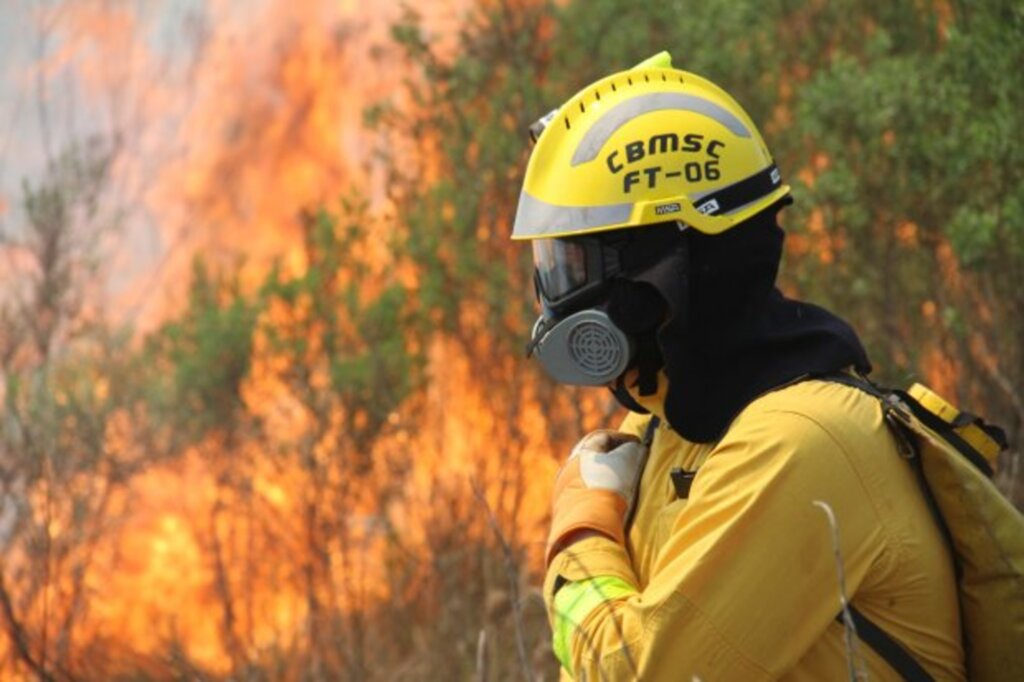 Forças-Tarefa do Corpo de Bombeiros são referência nos atendimentos de situações extremas