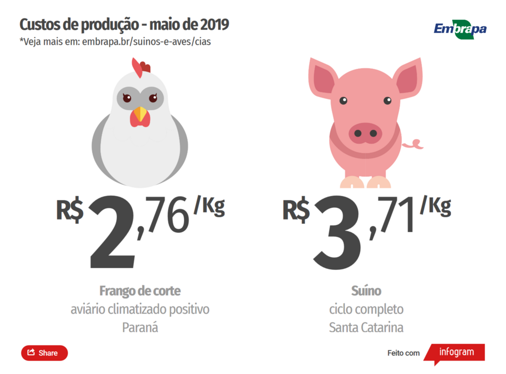 Custo de produção de suínos cai no mês de maio;