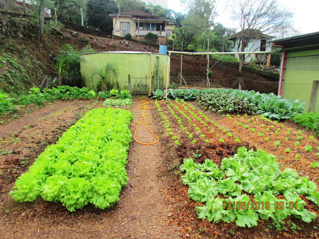 Ipira conta com Projeto 'Horta na Escola'