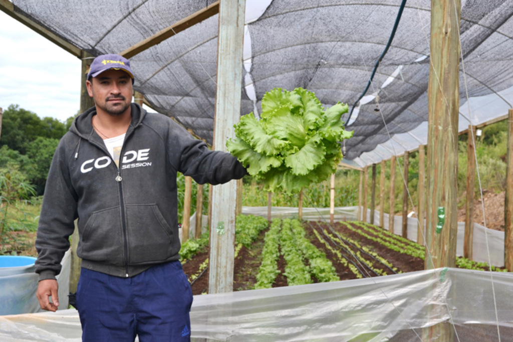 Projeto Agroecologia transforma a Agricultura Familiar em Machadinho