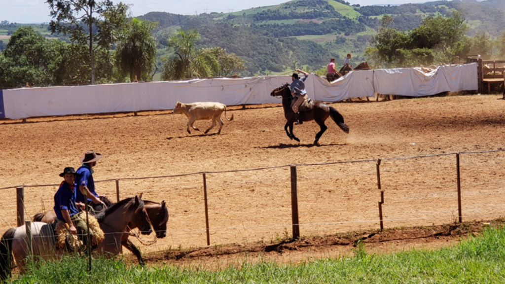 PIRATUBA REVELA TRADICIONALISMO E ORIGENS CAMPEIRAS EM EVENTO GAUCHESCO