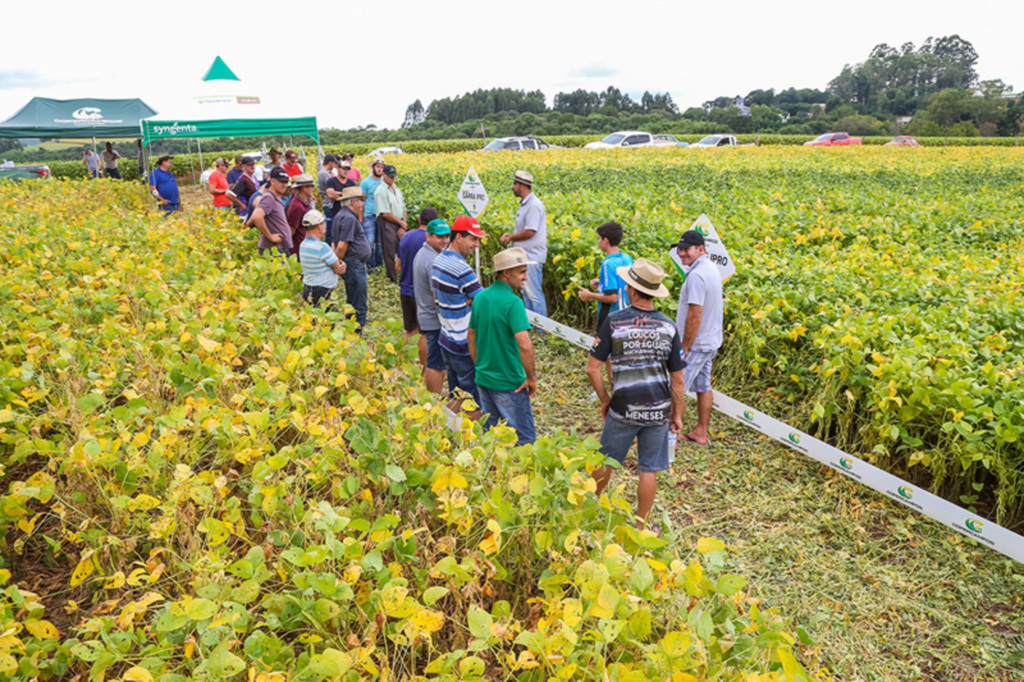 Copercampos inicia Dias de Campo de filiais na próxima semana