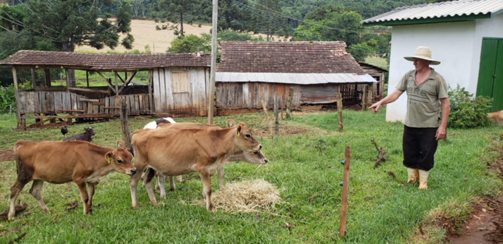 PRODUTORES SE PREPARAM PARA FEIRA DA TERNEIRA EM PIRATUBA