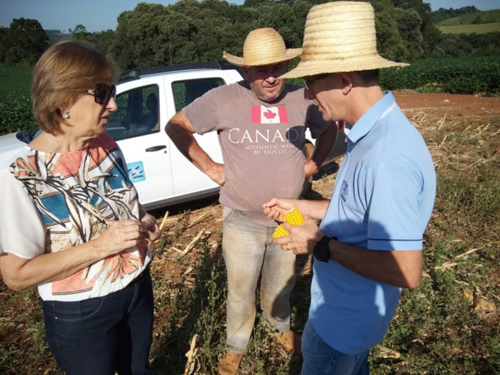 Prefeita em exercício Noemia Bonamigo Pizzamiglio acompanhou atividades nas Secretarias