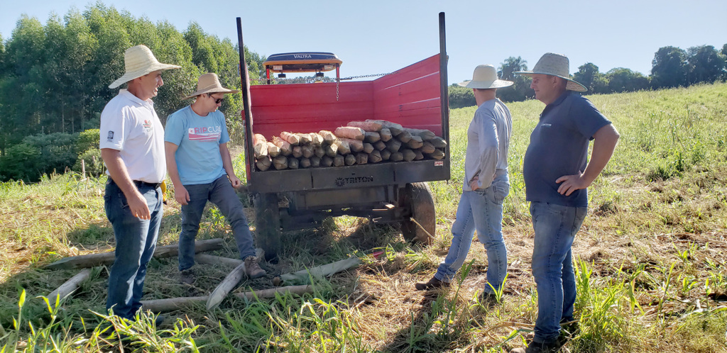 AGRICULTOR DE PIRATUBA PRODUZ ENERGIA ELÉTRICA PARA PROPRIEDADE COM PAINÉIS SOLARES