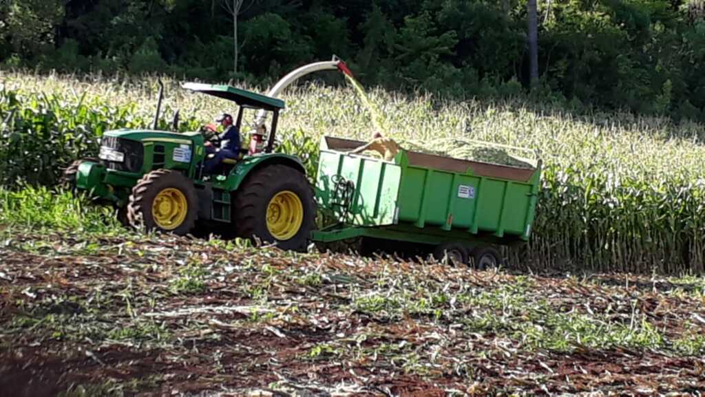 Secretaria da Agricultura e Meio Ambiente prioriza a produção de silagem