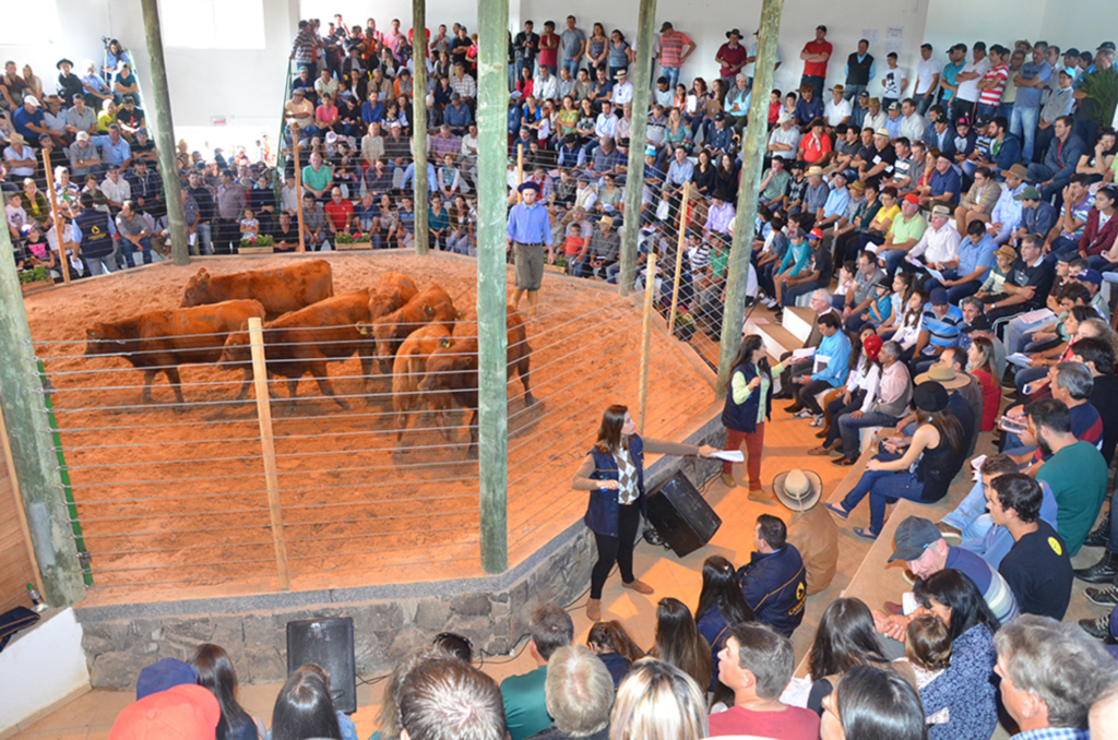 Anita Garibaldi realizou a XII Feira do Terneiro e da Terneira