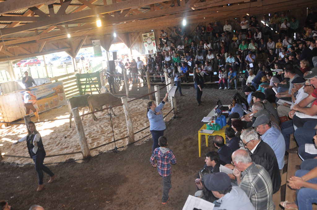 Campo Belo abre a temporada de Feiras do  Terneiro(a) na Região dos Lagos