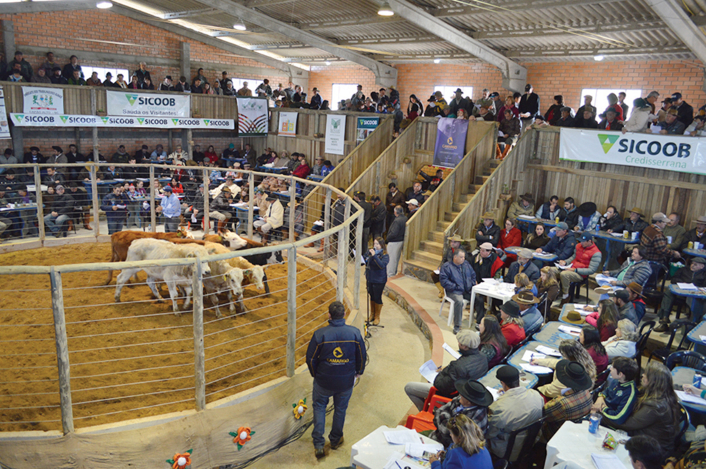 Feira de Capão Alto evidencia a procura por animais machos