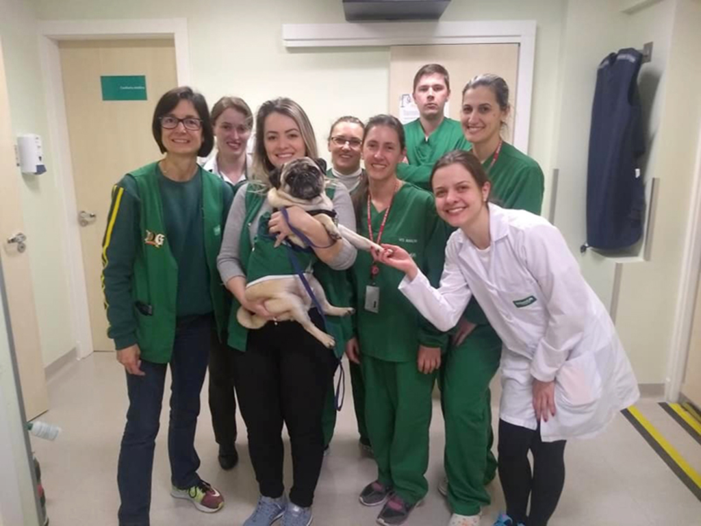  - Equipe assistencial da Unimed Chapecó e do Programa CãoAmor