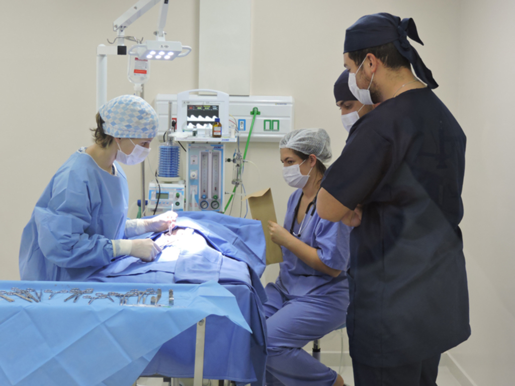  - Consultas, diversos exames e cirurgias diversas são realizadas na Unidade de Atendimento Veterinário