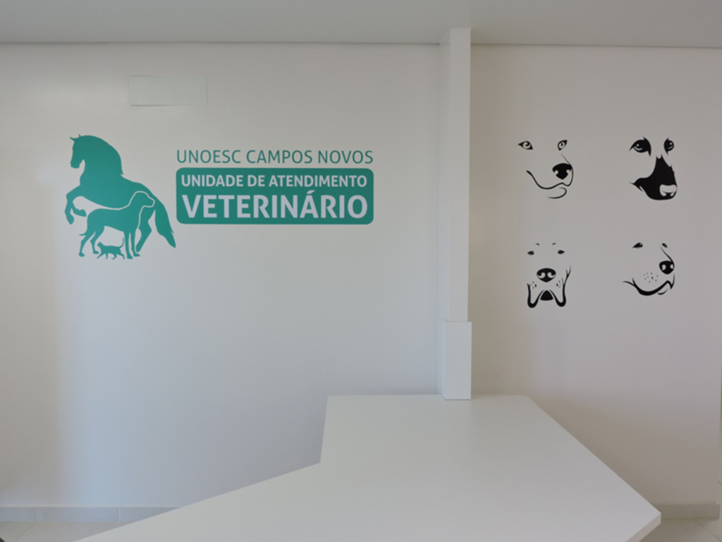 Unidade de Atendimento Veterinário facilita acesso da comunidade a serviços para cães e gatos